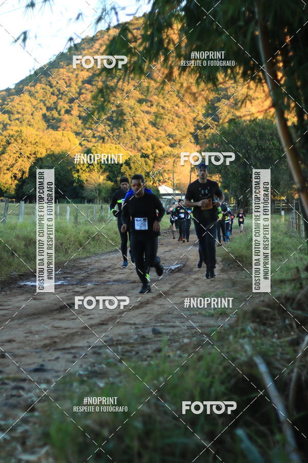 Buy your photos of the eventWolf Series - Botucatu on Fotop