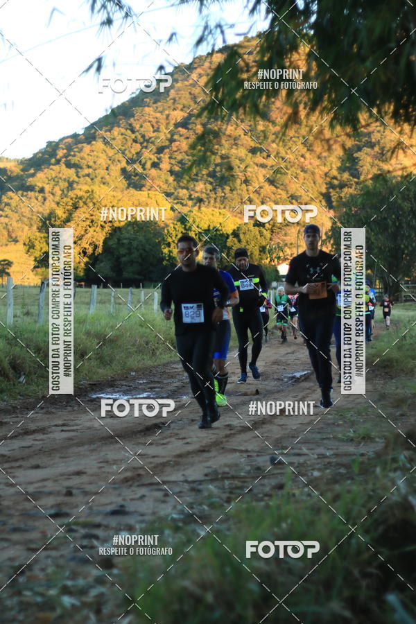 Buy your photos of the eventWolf Series - Botucatu on Fotop