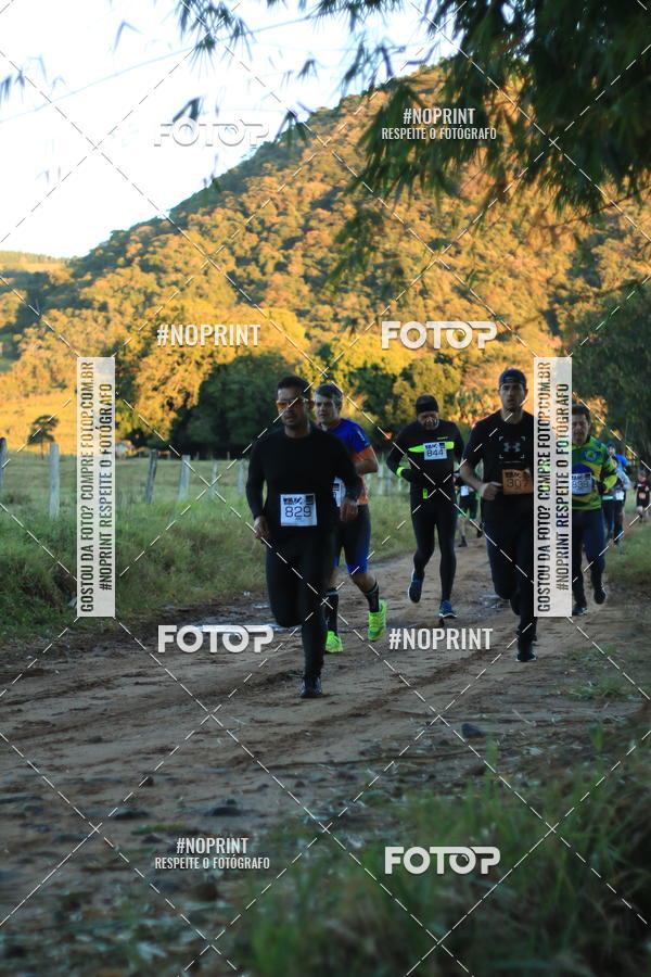 Buy your photos of the eventWolf Series - Botucatu on Fotop