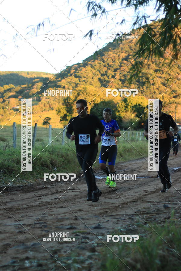 Buy your photos of the eventWolf Series - Botucatu on Fotop