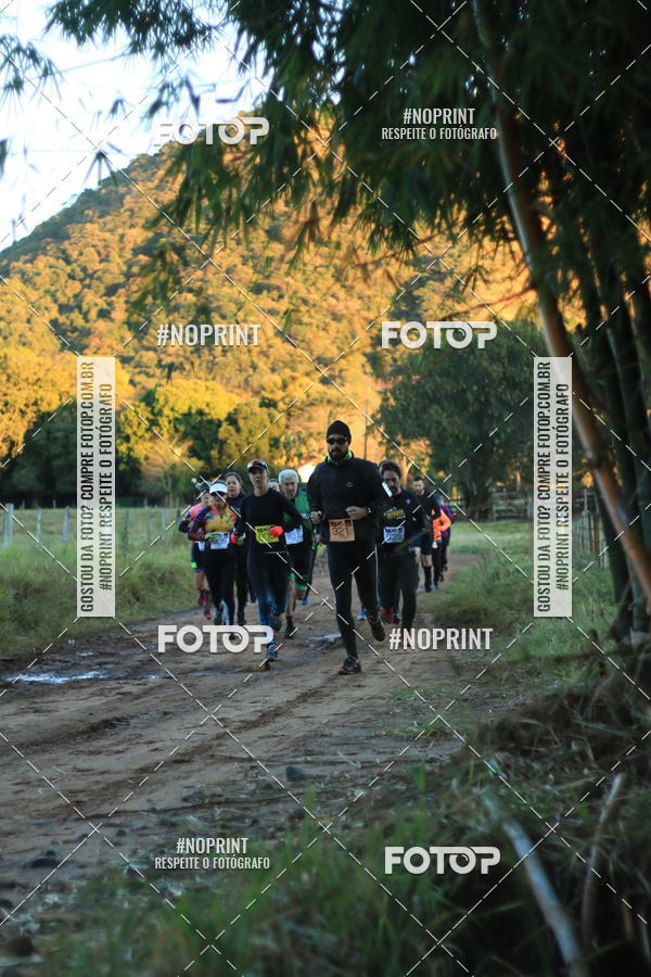 Buy your photos of the eventWolf Series - Botucatu on Fotop