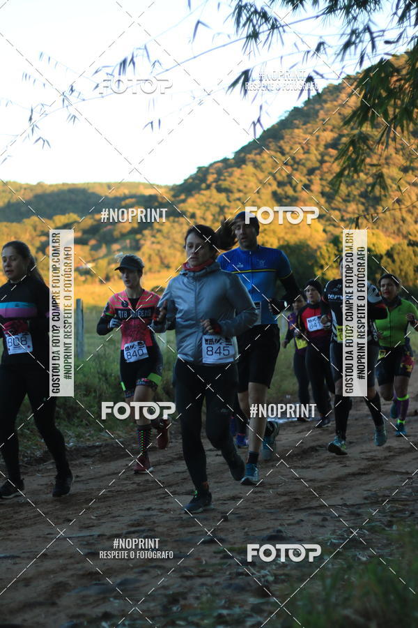 Buy your photos of the eventWolf Series - Botucatu on Fotop