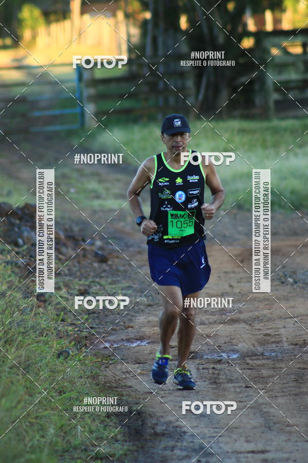 Buy your photos of the eventWolf Series - Botucatu on Fotop