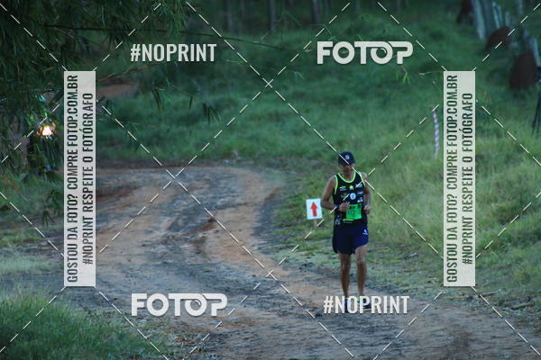 Buy your photos of the eventWolf Series - Botucatu on Fotop