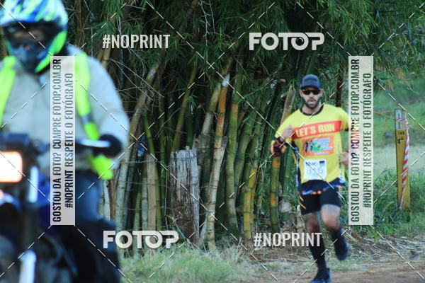 Buy your photos of the eventWolf Series - Botucatu on Fotop