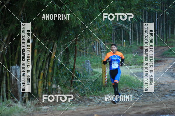 Buy your photos of the eventWolf Series - Botucatu on Fotop