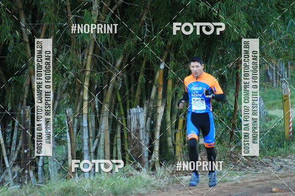 Buy your photos of the eventWolf Series - Botucatu on Fotop