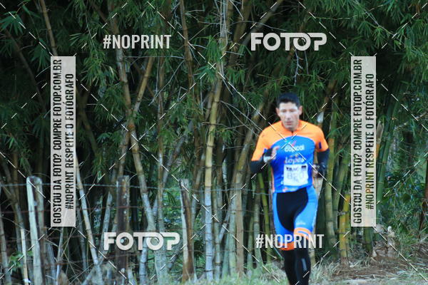 Buy your photos of the eventWolf Series - Botucatu on Fotop