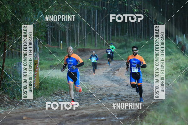 Buy your photos of the eventWolf Series - Botucatu on Fotop