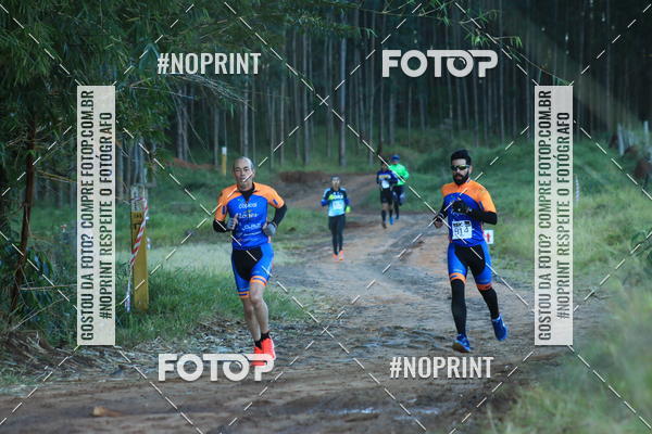 Buy your photos of the eventWolf Series - Botucatu on Fotop