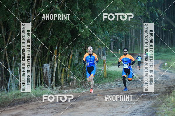 Buy your photos of the eventWolf Series - Botucatu on Fotop