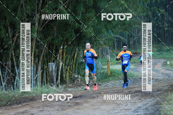 Buy your photos of the eventWolf Series - Botucatu on Fotop