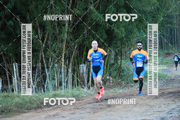 Buy your photos of the eventWolf Series - Botucatu on Fotop