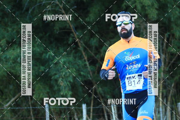 Buy your photos of the eventWolf Series - Botucatu on Fotop