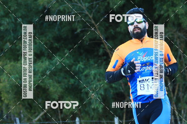 Buy your photos of the eventWolf Series - Botucatu on Fotop