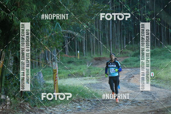 Buy your photos of the eventWolf Series - Botucatu on Fotop