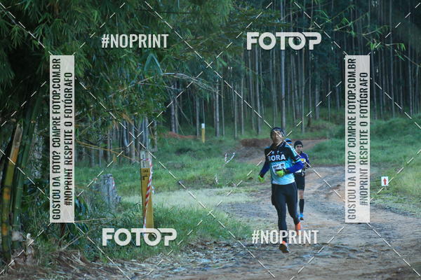 Buy your photos of the eventWolf Series - Botucatu on Fotop