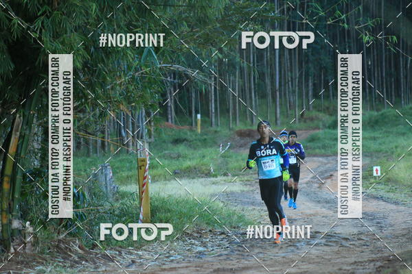 Buy your photos of the eventWolf Series - Botucatu on Fotop