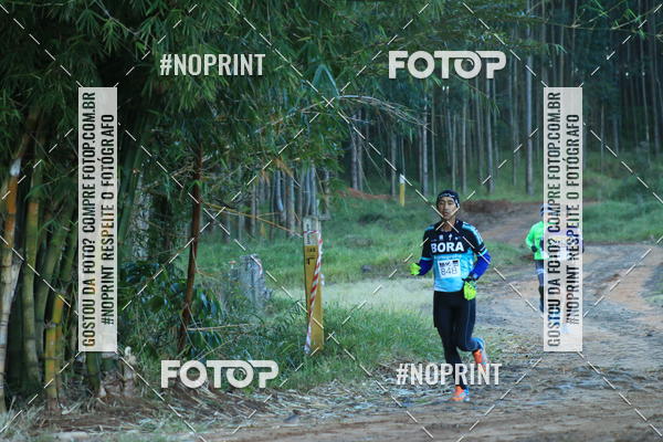 Buy your photos of the eventWolf Series - Botucatu on Fotop