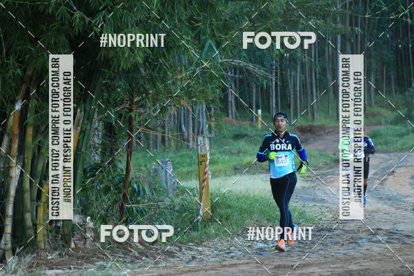 Buy your photos of the eventWolf Series - Botucatu on Fotop