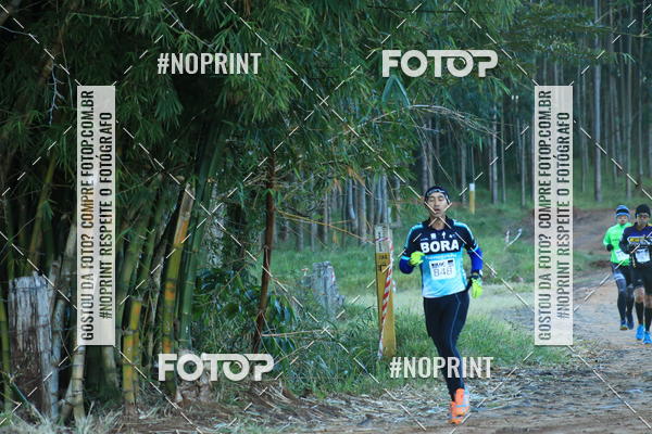 Buy your photos of the eventWolf Series - Botucatu on Fotop