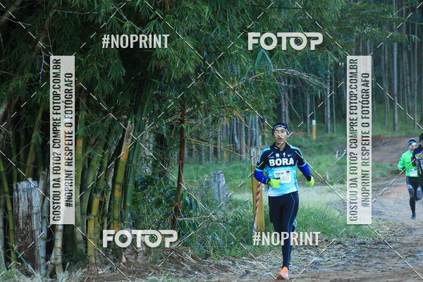 Buy your photos of the eventWolf Series - Botucatu on Fotop