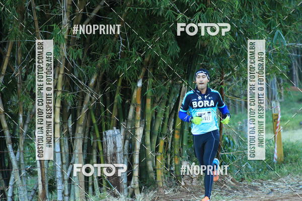 Buy your photos of the eventWolf Series - Botucatu on Fotop