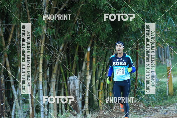 Buy your photos of the eventWolf Series - Botucatu on Fotop