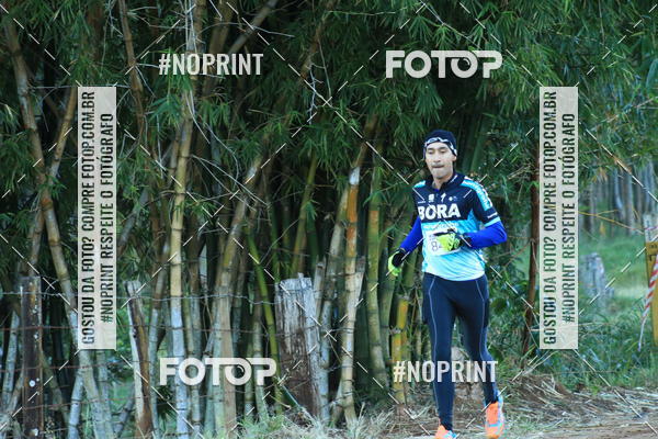 Buy your photos of the eventWolf Series - Botucatu on Fotop