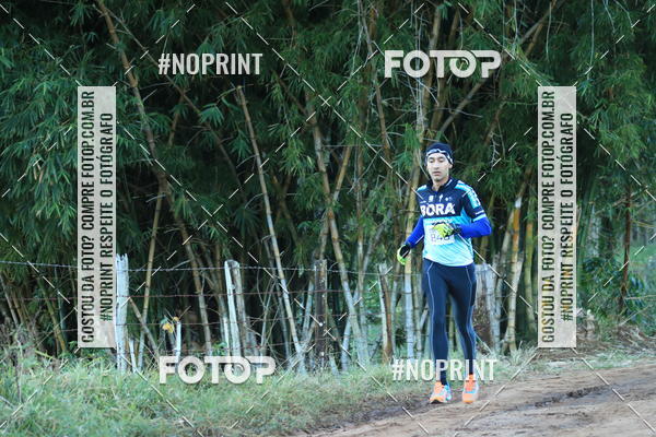 Buy your photos of the eventWolf Series - Botucatu on Fotop