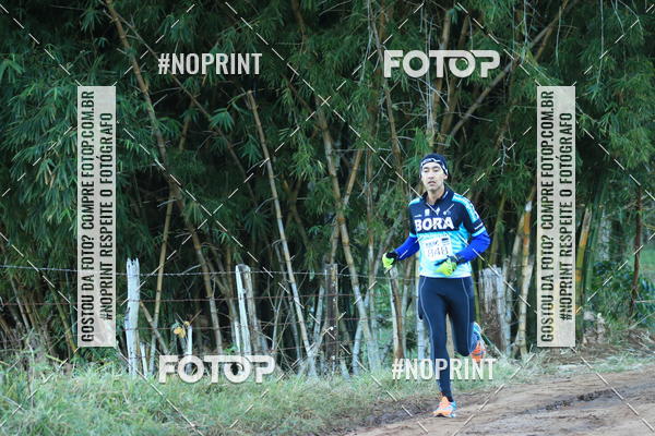 Buy your photos of the eventWolf Series - Botucatu on Fotop