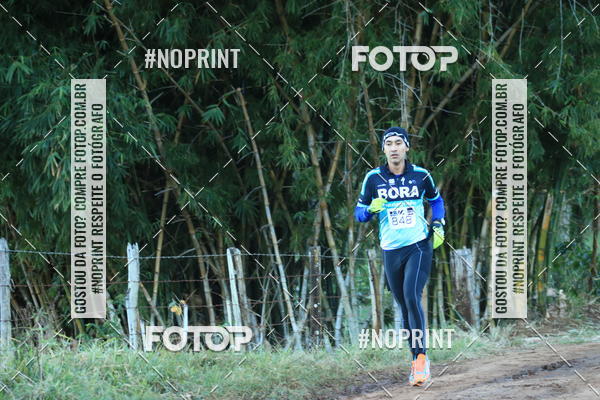 Buy your photos of the eventWolf Series - Botucatu on Fotop