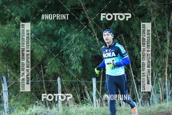 Buy your photos of the eventWolf Series - Botucatu on Fotop