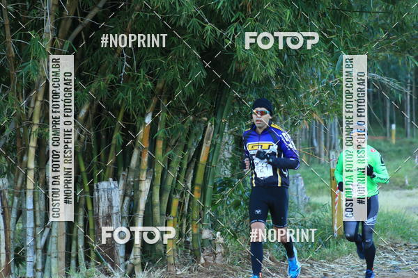 Buy your photos of the eventWolf Series - Botucatu on Fotop