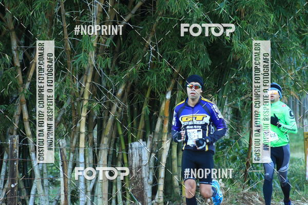 Buy your photos of the eventWolf Series - Botucatu on Fotop