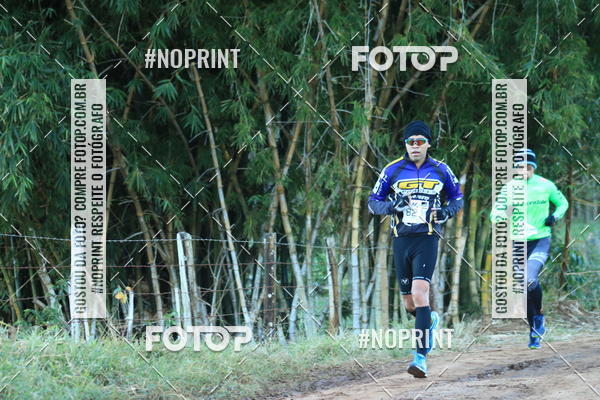 Buy your photos of the eventWolf Series - Botucatu on Fotop