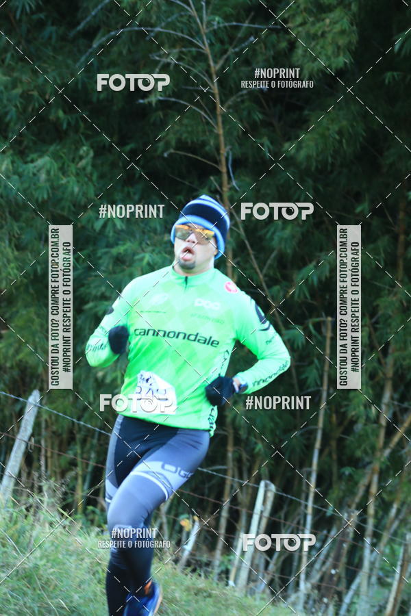 Buy your photos of the eventWolf Series - Botucatu on Fotop