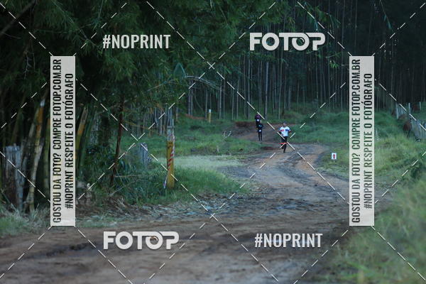 Buy your photos of the eventWolf Series - Botucatu on Fotop