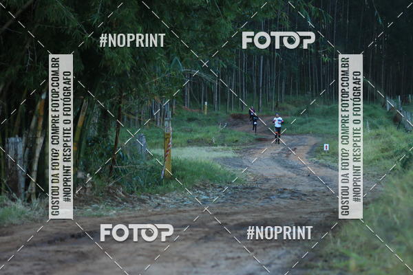 Buy your photos of the eventWolf Series - Botucatu on Fotop