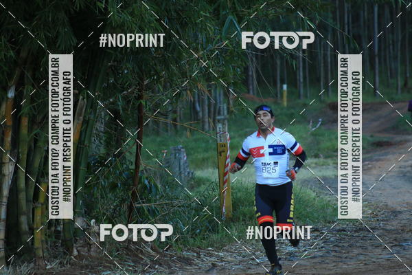 Buy your photos of the eventWolf Series - Botucatu on Fotop