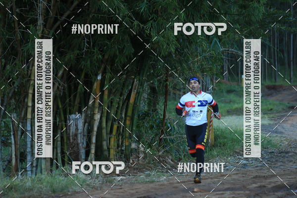 Buy your photos of the eventWolf Series - Botucatu on Fotop