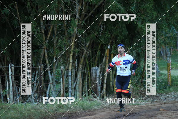 Buy your photos of the eventWolf Series - Botucatu on Fotop