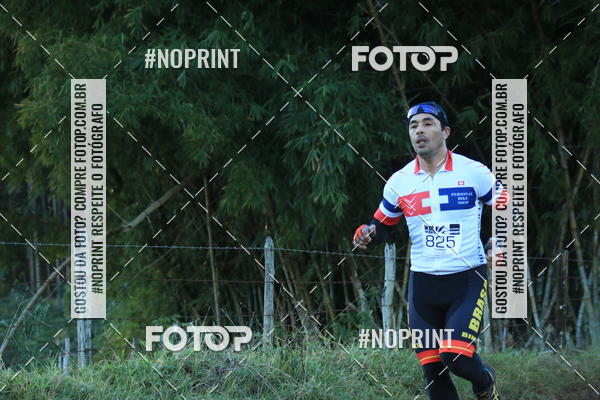 Buy your photos of the eventWolf Series - Botucatu on Fotop