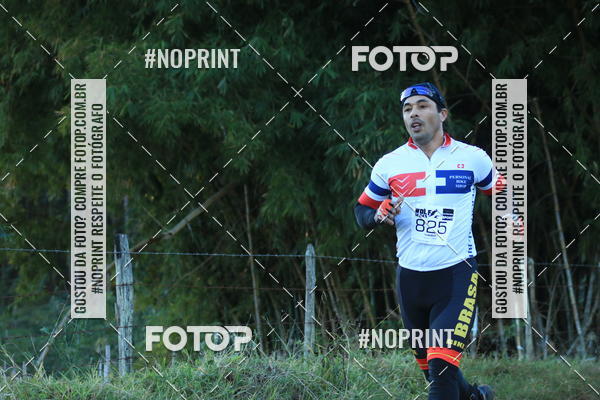 Buy your photos of the eventWolf Series - Botucatu on Fotop