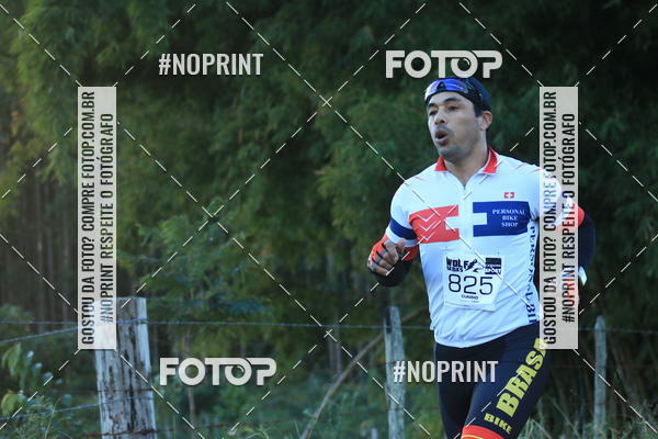 Buy your photos of the eventWolf Series - Botucatu on Fotop