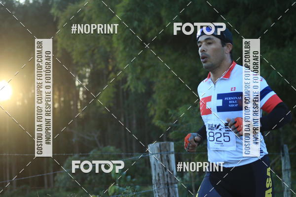 Buy your photos of the eventWolf Series - Botucatu on Fotop