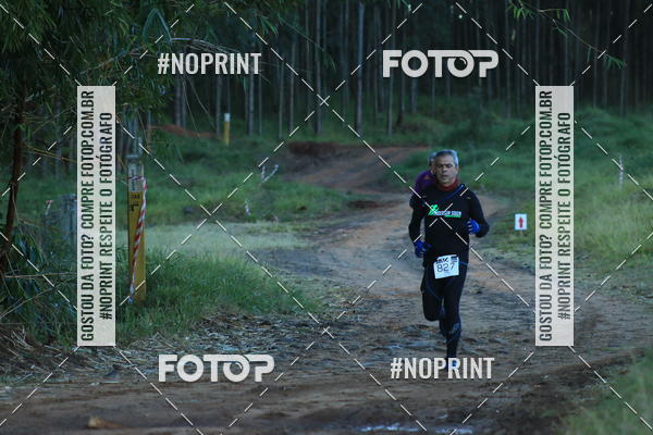 Buy your photos of the eventWolf Series - Botucatu on Fotop