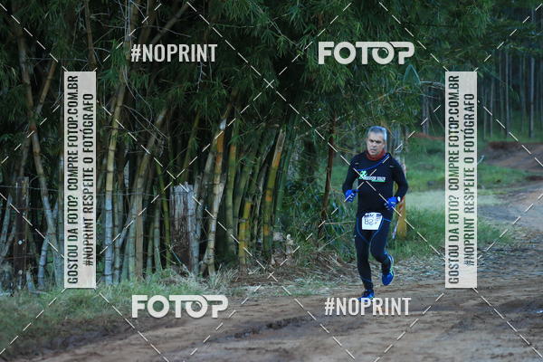 Buy your photos of the eventWolf Series - Botucatu on Fotop