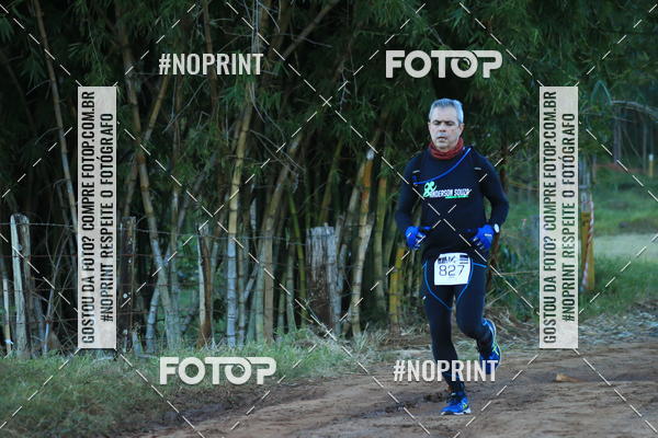 Buy your photos of the eventWolf Series - Botucatu on Fotop