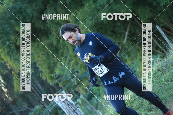 Buy your photos of the eventWolf Series - Botucatu on Fotop